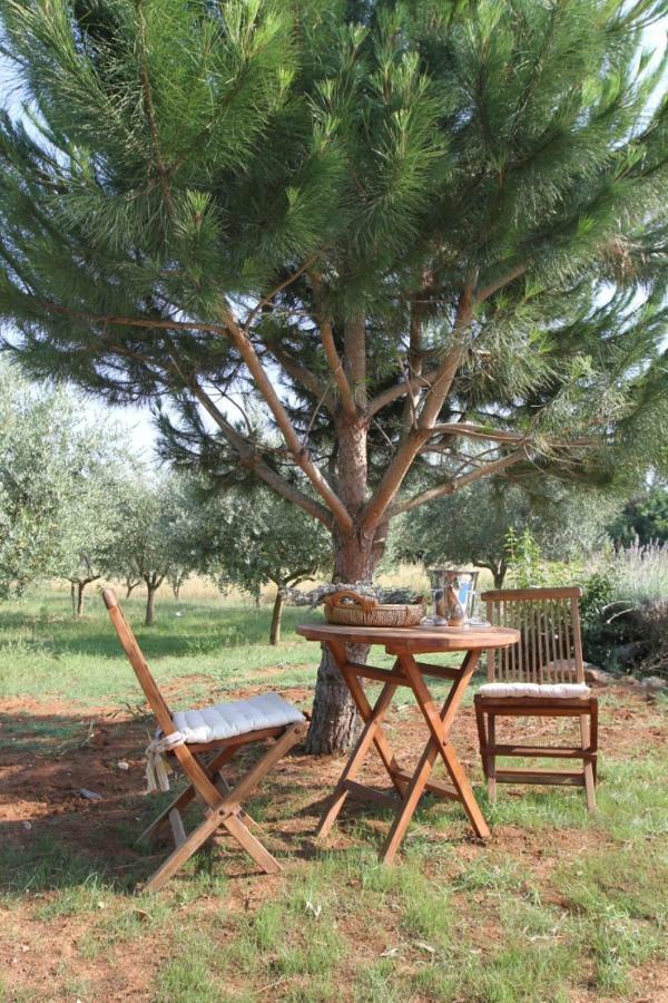 Premantura Olive Garden Villa Exteriör bild